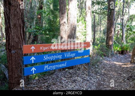 Station balnéaire de Kingfisher Bay sur Fraser Island et panneau en bois donnant des indications pour le terrain de jeu, le centre de découverte et le village commerçant, Queensland, Australie Banque D'Images