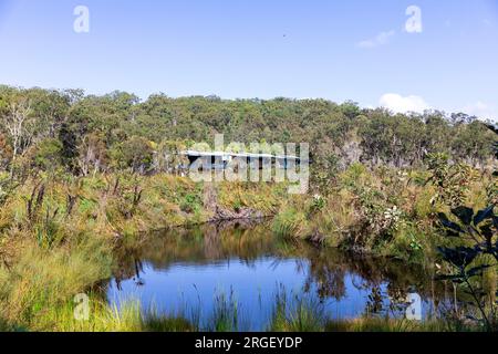 Kingfisher Bay Resort de vacances sur Fraser Island K'gari, entouré par la nature et le Bush australien sur cette île de sable, Queensland, Australie Banque D'Images