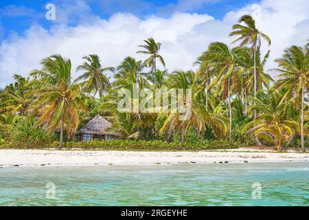 Plage près de Pingwe, Zanzibar, Tanzanie, Afrique de l'est Banque D'Images