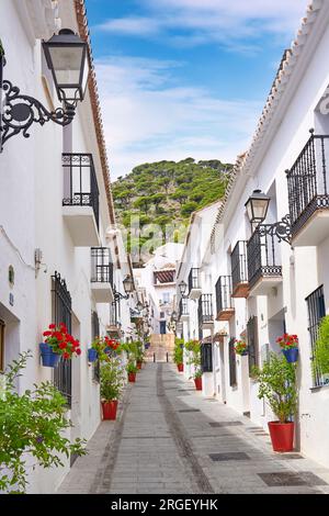 Rue dans la Mijas, villages blancs, Costa del sol, province de Malaga, Andalousie, Espagne Banque D'Images