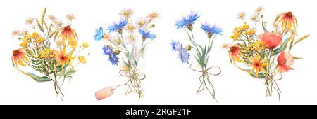 Illustration botanique aquarelle, ensemble de bouquets de fleurs sauvages avec herbe bleue de Cornflower, pavot, échinacée, camomille et avec papillons, isolé Banque D'Images