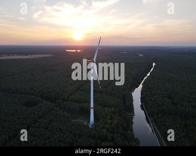 Moulins à vent au coucher du soleil, au milieu de la forêt Banque D'Images