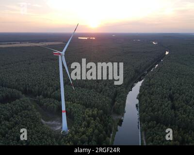 Moulins à vent au coucher du soleil, au milieu de la forêt Banque D'Images