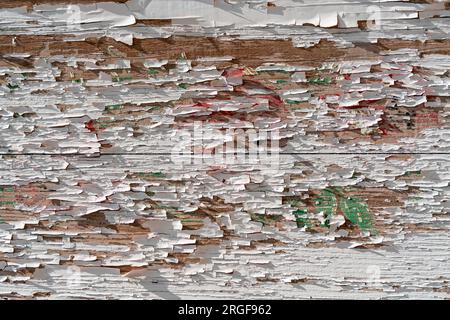 Photo plein format montrant de la peinture blanche écaillée sur le dos en bois dans une ambiance ensoleillée Banque D'Images