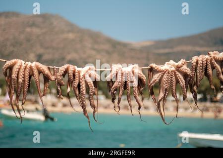 Octupus suspendu à l'extérieur pour sécher dans iOS cyclades Grèce Banque D'Images