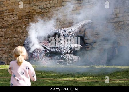 Lincoln, Lincolnshire, Royaume-Uni. 09 août 2023. UK Météo : une journée lumineuse et ensoleillée au château de Lincoln. Un enfant émerveille devant les dragons exposés dans le parc. Crédit photo : PAL News/Alamy Live News Banque D'Images