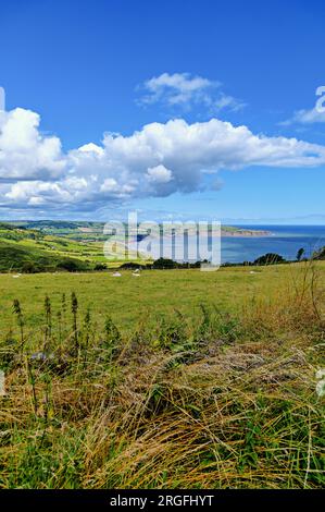 Une vue de Robin Hood's Bay par une matinée ensoleillée de Ravenscar dans le North Yorkshire, Royaume-Uni Banque D'Images