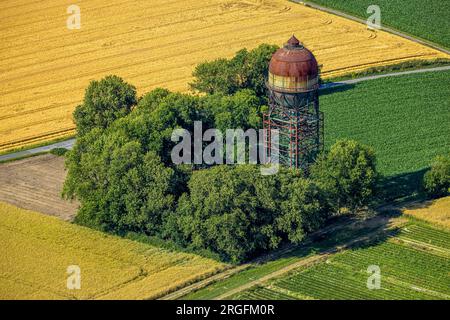 Vue aérienne, château d'eau Lanstroper EI, Hostedde, Dortmund, région de la Ruhr, Rhénanie du Nord-Westphalie, Allemagne Banque D'Images