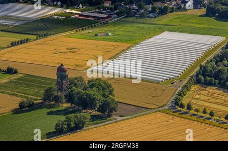 Vue aérienne, château d'eau Lanstroper EI, symboles et signes dans un champ, logo BVB, zone agricole avec culture de fraises sous papier, Bönninghause Banque D'Images