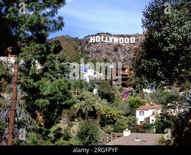 LOS ANGELES, USA - 14 JUIN 2019 : panneau Hollywood vu d'un quartier résidentiel calme en dessous de la colline la plus célèbre de Los Angeles. Banque D'Images