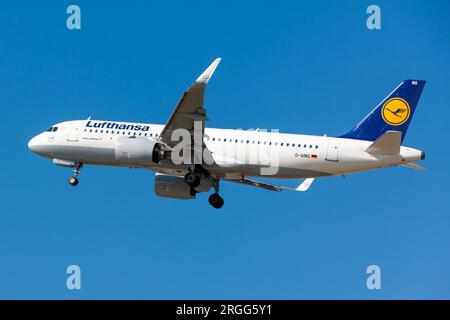 Boryspil, Ukraine - 20 août 2020 : l'avion Airbus A320neo (D-AING) de Lufthansa décolle de l'aéroport de Boryspil Banque D'Images