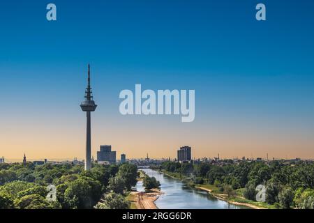 Vue sur le Fernmeldeturm et la rivière Neckar à Mannheim, Allemagne. Télévision télévision Tour de télécommunication. Belle lumière du soir. Espace de copie. Banque D'Images