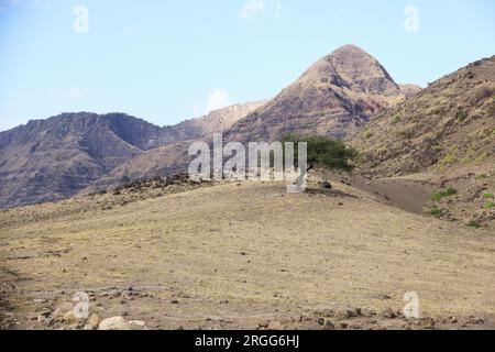 Paysage désertique très aride au lac Natron en Tanzanie, Afrique de l'est. Banque D'Images