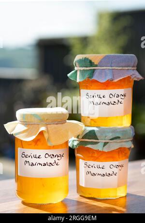 Un groupe de bocaux contenant de la marmelade d'orange de Séville faite maison. Les bocaux ont des étiquettes écrites à la main et des garnitures en tissu sur les couvercles Banque D'Images