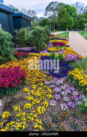 Lit de fleurs printanières colorées dans un parc paysager Banque D'Images