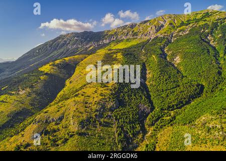 Vue aérienne des pentes du Monte Morrone colorées en vert et jaune par la floraison du Ginestra odorosa ou balai espagnol, Spartium junceum. Banque D'Images