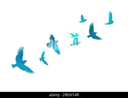 Un troupeau d'oiseaux volant bleu aquarelle. Illustration du vecteur d'abstraction des oiseaux libres Illustration de Vecteur