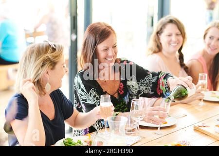 Femme souriante se verse du vin au déjeuner avec des amis Banque D'Images