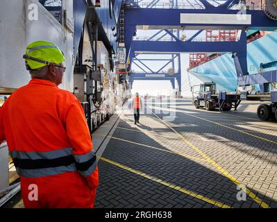 Docker en salopette au port de Felixstowe, England Banque D'Images