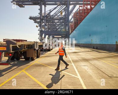 Docker en gilet à port de Felixstowe, England Banque D'Images