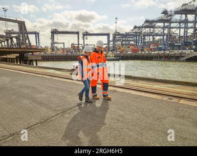 Balades sur les quais au port de Felixstowe, England Banque D'Images