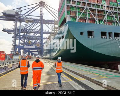 Les quais par cargo au port de Felixstowe, England Banque D'Images