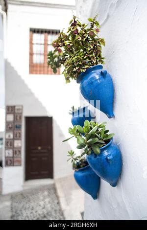 Pots de fleurs bleu accroché sur façade de maison Banque D'Images