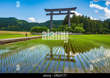 Pèlerinage de Kumano kodo. Otorii. Tori culte porte qui marque l'entrée de Oyunohara. Nakahechi. La préfecture de Wakayama. La péninsule de Kii. R Kansai Banque D'Images