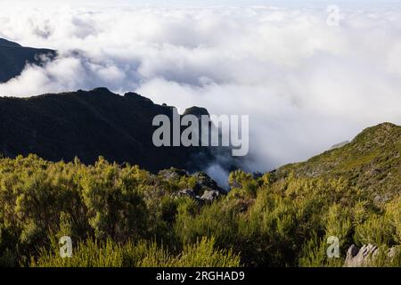 Grand lever de soleil sur le Pico do Arieiro à Madère avec un brouillard épique enveloppant le Ninho da Manta. Banque D'Images