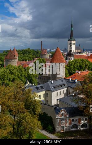 Point de vue Piiskopi, vieille ville, Tallinn, Estonie Banque D'Images