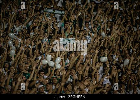 GO - GOIANIA - 09/08/2023 - COPA SUL-AMERICANA 2023, GOIAS X ESTUDIANTES - fans de Goias lors d'un match contre Estudiantes au stade Serra Dourada pour le championnat Copa Sudamericana 2023. Photo : Isabela Azine/AGIF/Sipa USA Banque D'Images