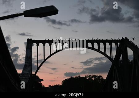 Potsdam, Allemagne. 10 août 2023. Les corbeaux sont assis sur le pont Glienicke peu avant le lever du soleil. Le pont à la frontière de la ville entre Potsdam et Berlin est un symbole pour surmonter la division entre l'est et l'Ouest. De nombreux événements commémorent également la construction du mur et de la division allemande cette année le 13 août. Crédit : Soeren Stache/dpa/Alamy Live News Banque D'Images