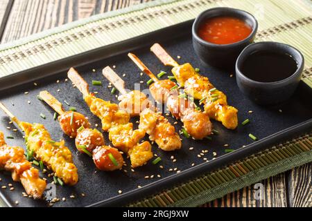 Ensemble de diverses brochettes yakitori japonaises servies avec deux sauces en gros plan sur une assiette sur la table. Horizontal Banque D'Images