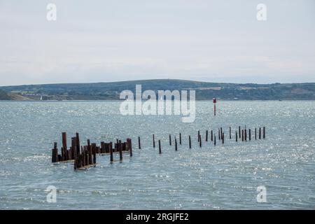 Restes squelettiques de la vieille jetée à Keyhaven et Lymington réserve naturelle Hampshire Angleterre Banque D'Images