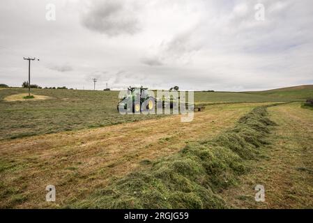 Tracteur ramant pendant la fabrication de l'ensilage à Little Newton long Preston, près de Hellifield, Yorkshire Dales pendant une brève fenêtre météorologique, Banque D'Images