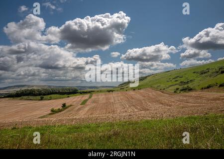 Alciston, 6 août 2023 : vue sur les terres agricoles depuis la piste du passeur Banque D'Images