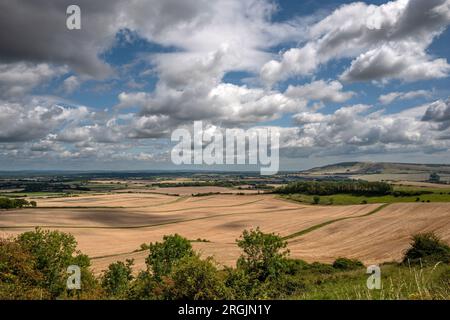 Alciston, 6 août 2023 : vue sur les terres agricoles depuis la piste du passeur Banque D'Images