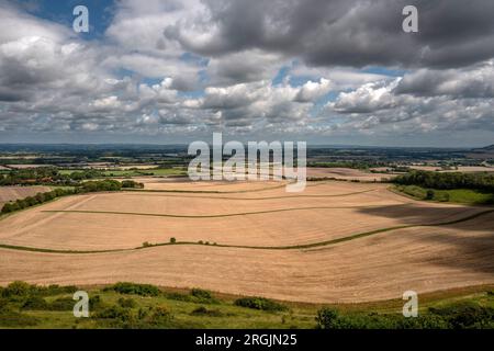 Alciston, 6 août 2023 : vue sur les terres agricoles depuis la piste du passeur Banque D'Images