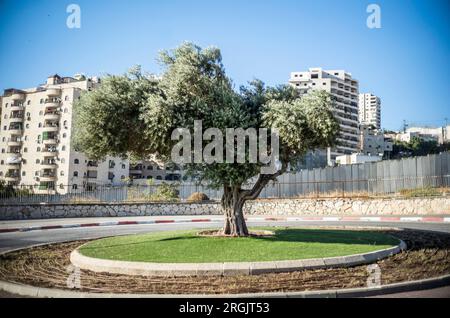 Jérusalem, Israël. 10 août 2023. Le mur de séparation à Jérusalem-est entre le camp de réfugiés de Shaafat et Jérusalem. Crédit : Ilia Yefimovich/dpa/Alamy Live News Banque D'Images