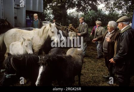 Stow on the Wold gypsy Horse Fair 1990s UK. Les marchands de chevaux inspectent les chevaux qui sont mis en vente. La foire annuelle date de 1476, date à laquelle une Charte a été accordée. Stow on the Wold, The Cotswolds, Gloucestershire, Angleterre vers octobre 1995. HOMER SYKES. Banque D'Images