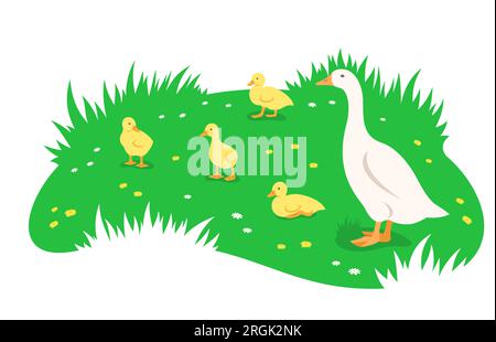 Mère oie et ses petits oisons mignons dans différentes poses pâturant dans la prairie verte. Illustration plate simple Illustration de Vecteur