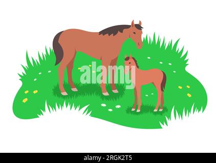 Cheval brun et son petit poulain grinçant dans la prairie de fleurs vertes. Illustration stylisée plate simple Illustration de Vecteur