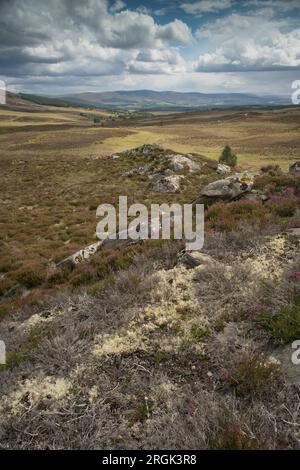 Les montagnes de Cairngorm vues depuis la route de Dava, Speyside, région de Grampian, Écosse. Banque D'Images