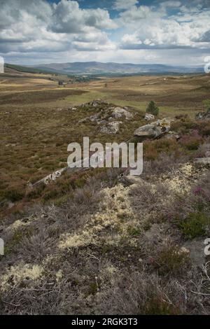 Les montagnes de Cairngorm vues depuis la route de Dava, Speyside, région de Grampian, Écosse. Banque D'Images