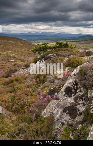 Les montagnes de Cairngorm vues depuis la route de Dava, Speyside, région de Grampian, Écosse. Banque D'Images