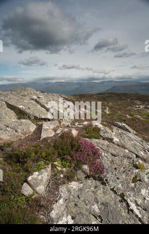 Les montagnes Cairngorm, vues depuis Craigellachie, Aviemore, Écosse Banque D'Images