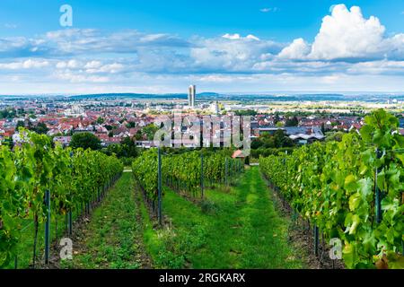 Allemagne, la ville de Fellbach abrite des bâtiments tour gratte-ciel magnifique vue panoramique sur la nature au-dessus du paysage des vignobles en automne Banque D'Images