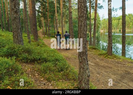 couple de personnes âgées se tenant la main marchant dans la forêt le long du lac Banque D'Images