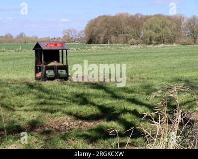 Snack bar pour vaches sur un pré, bonne idée Banque D'Images