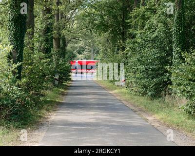 Train passant à niveau, flou de mouvement, arbres à gauche et à droite Banque D'Images